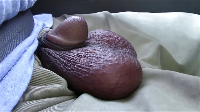 Nēģeris paņēma kaķis blondīni